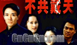 电视剧不共戴天,复仇之路的悲歌